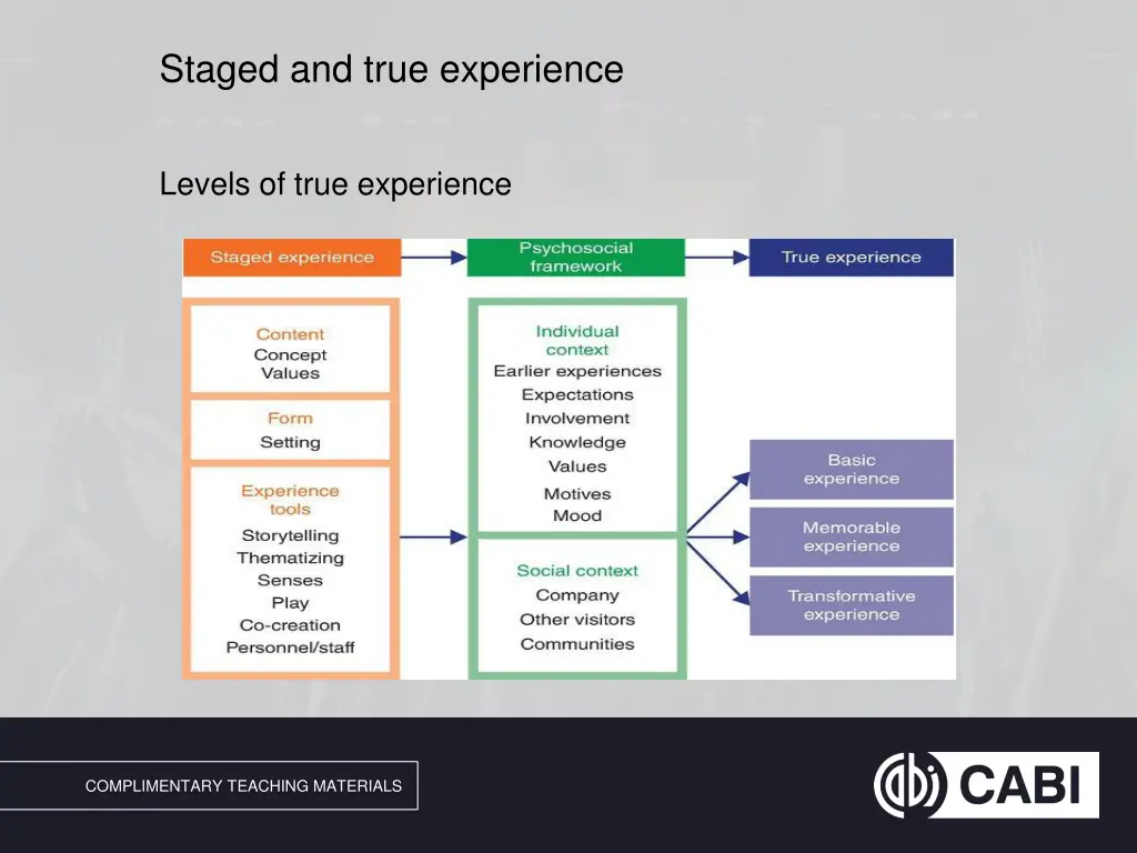 staged and true experience 1