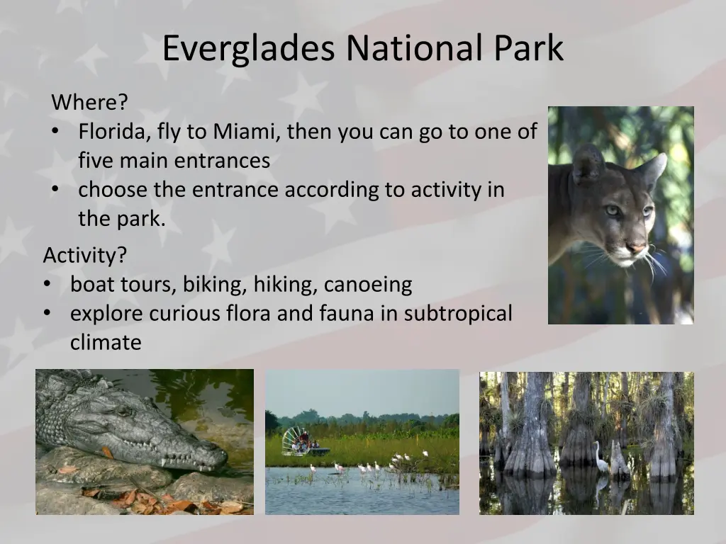 everglades national park