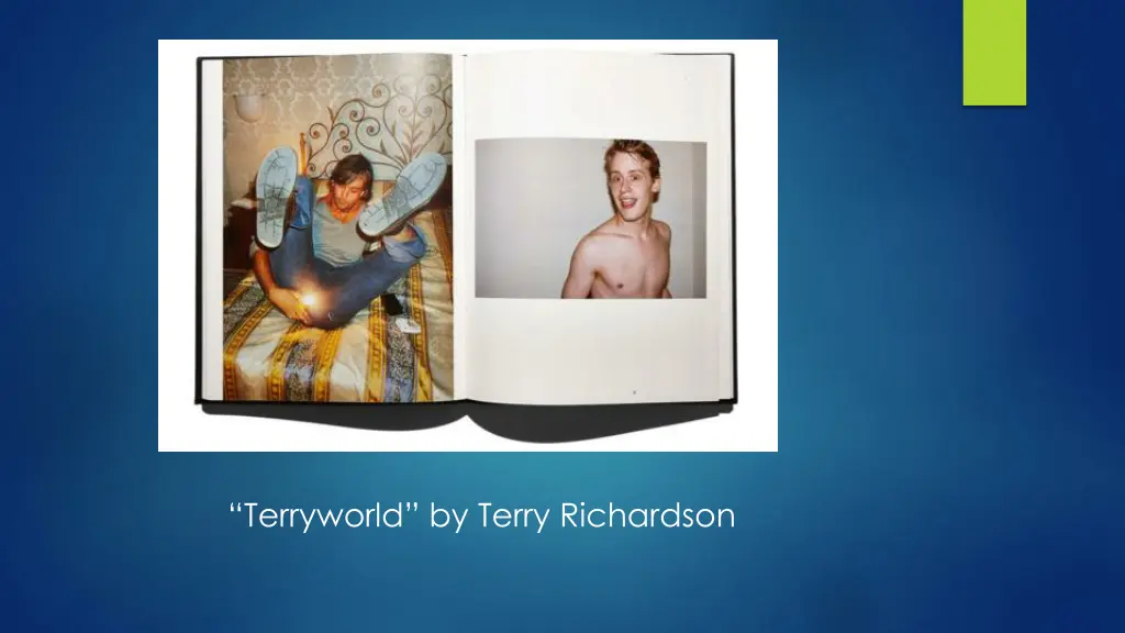 terryworld by terry richardson