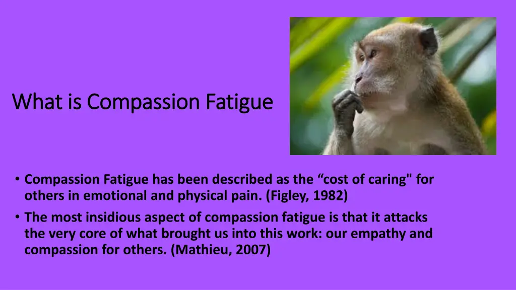 what is compassion fatigue what is compassion