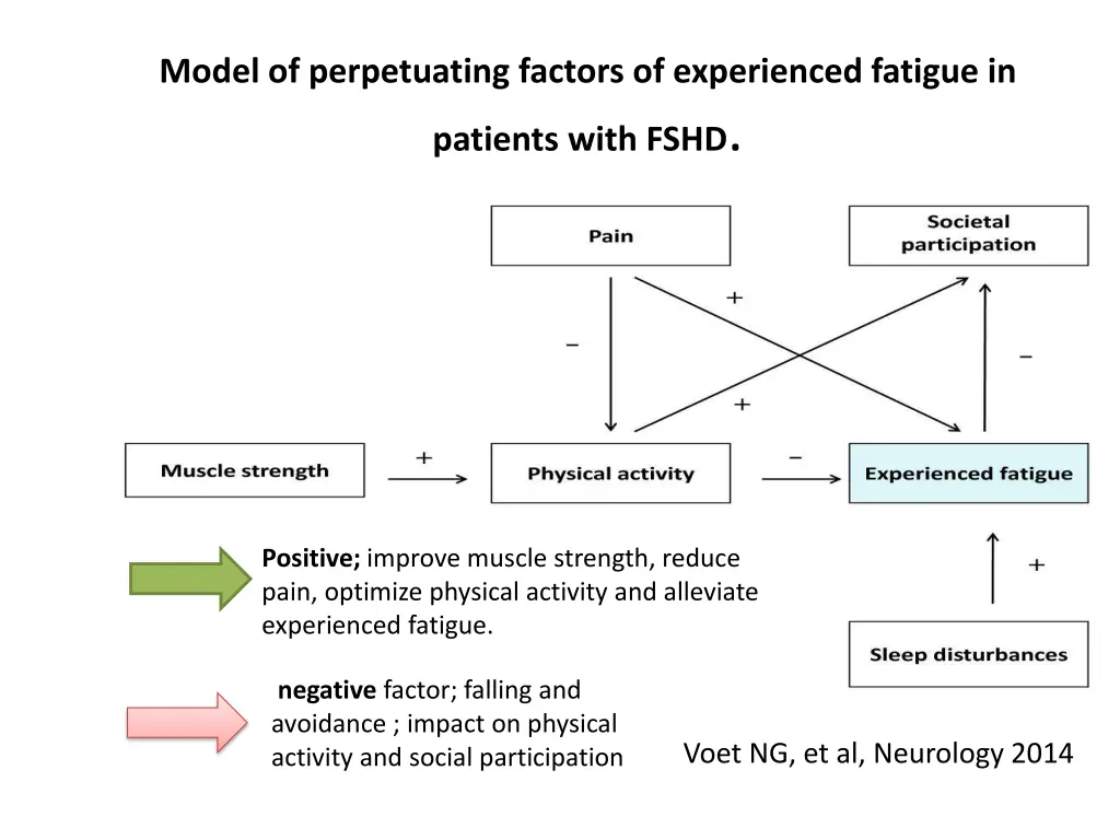 model of perpetuating factors of experienced