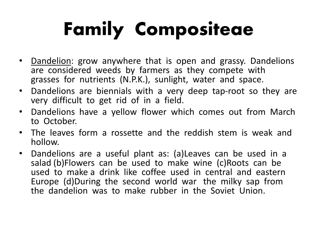 family compositeae 2