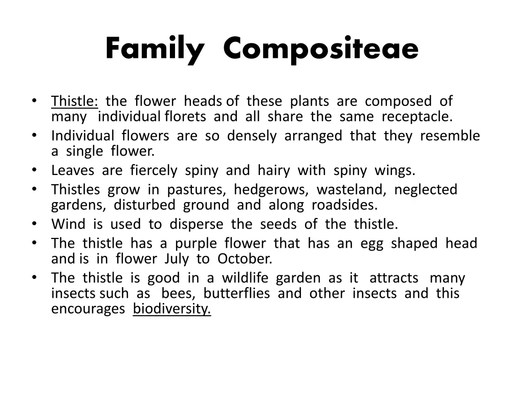 family compositeae 3