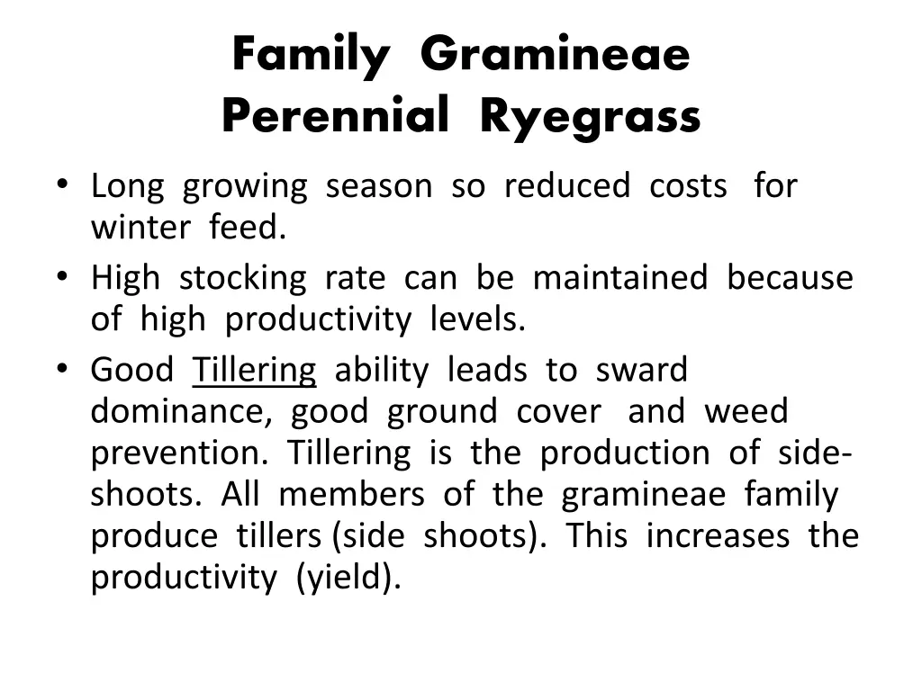 family gramineae perennial ryegrass long growing