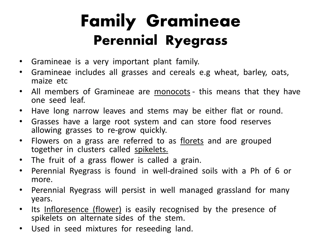 family gramineae perennial ryegrass