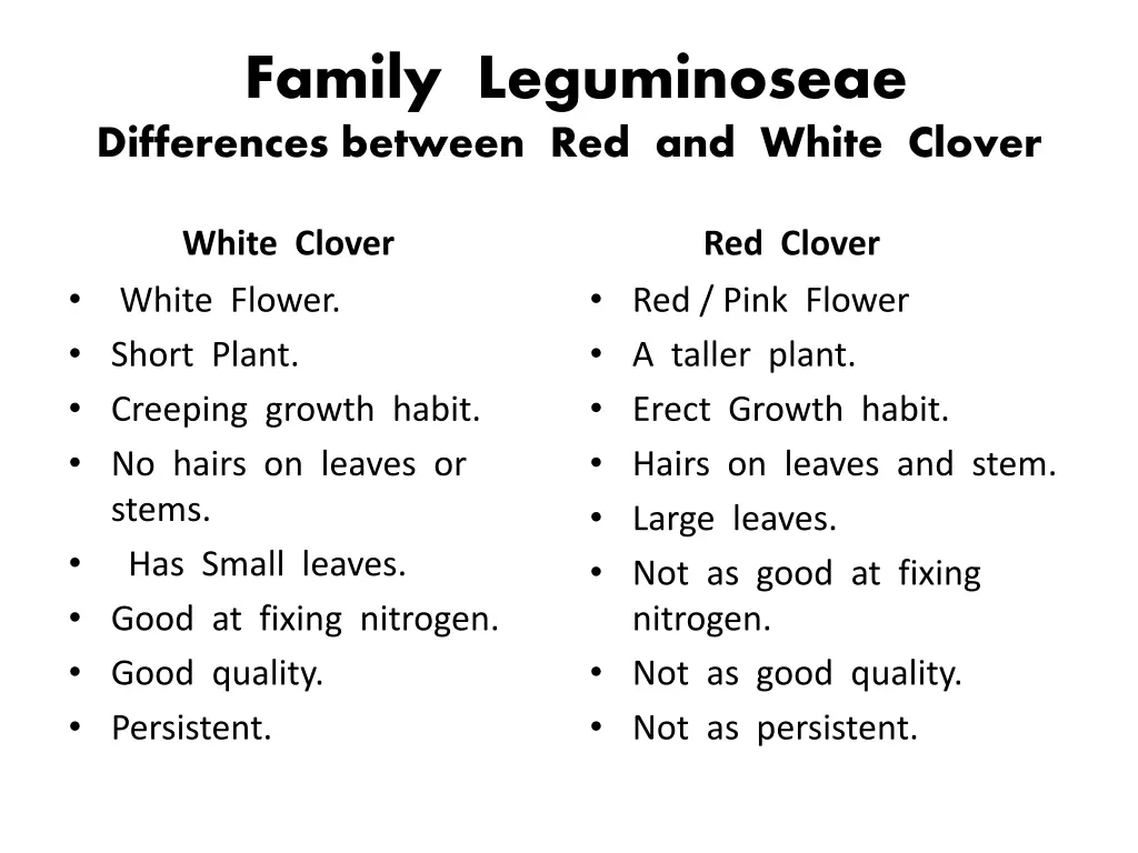 family leguminoseae differences between