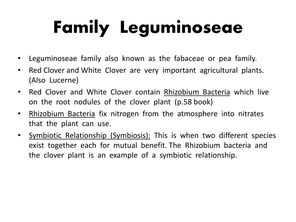 family leguminoseae