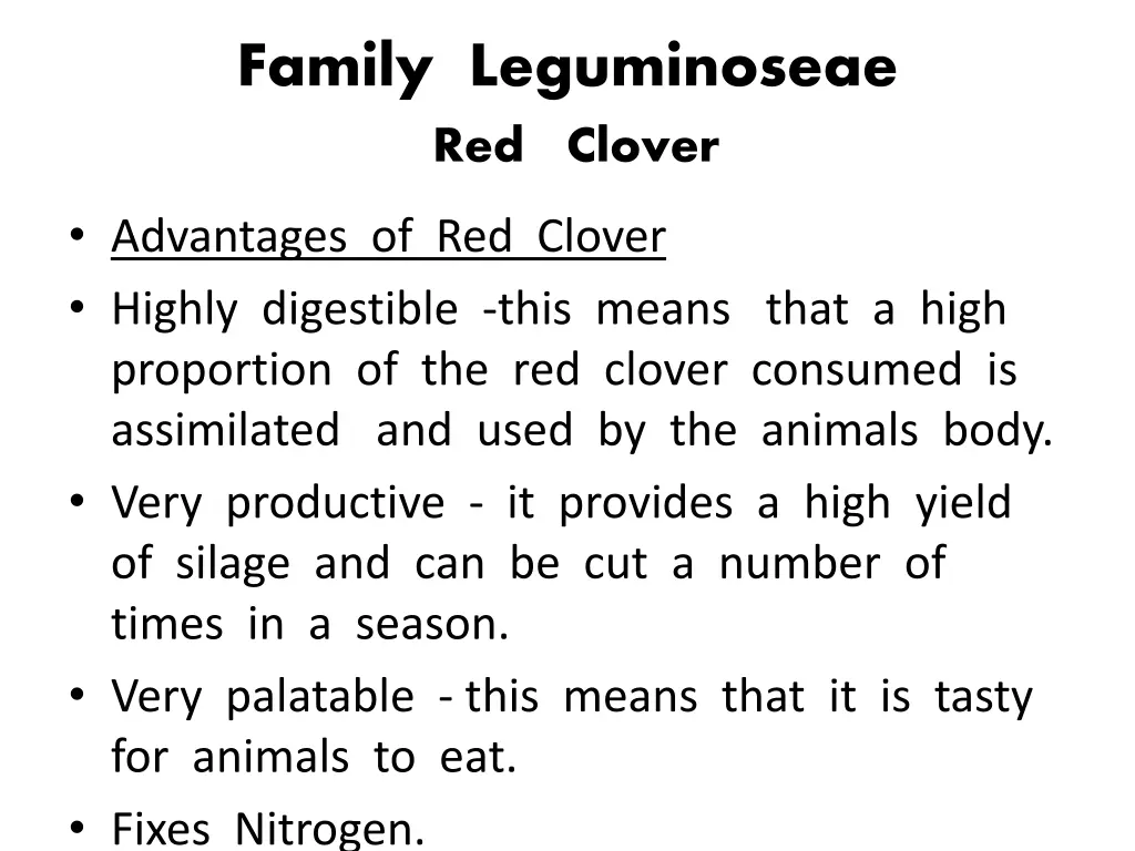 family leguminoseae red clover 1