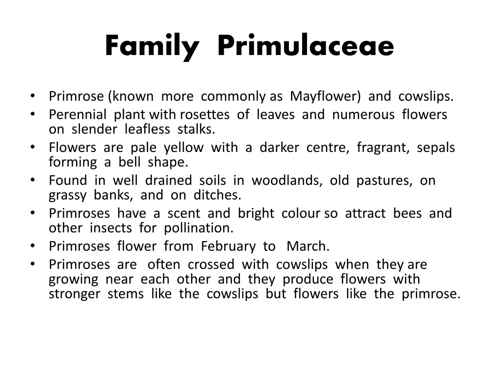 family primulaceae