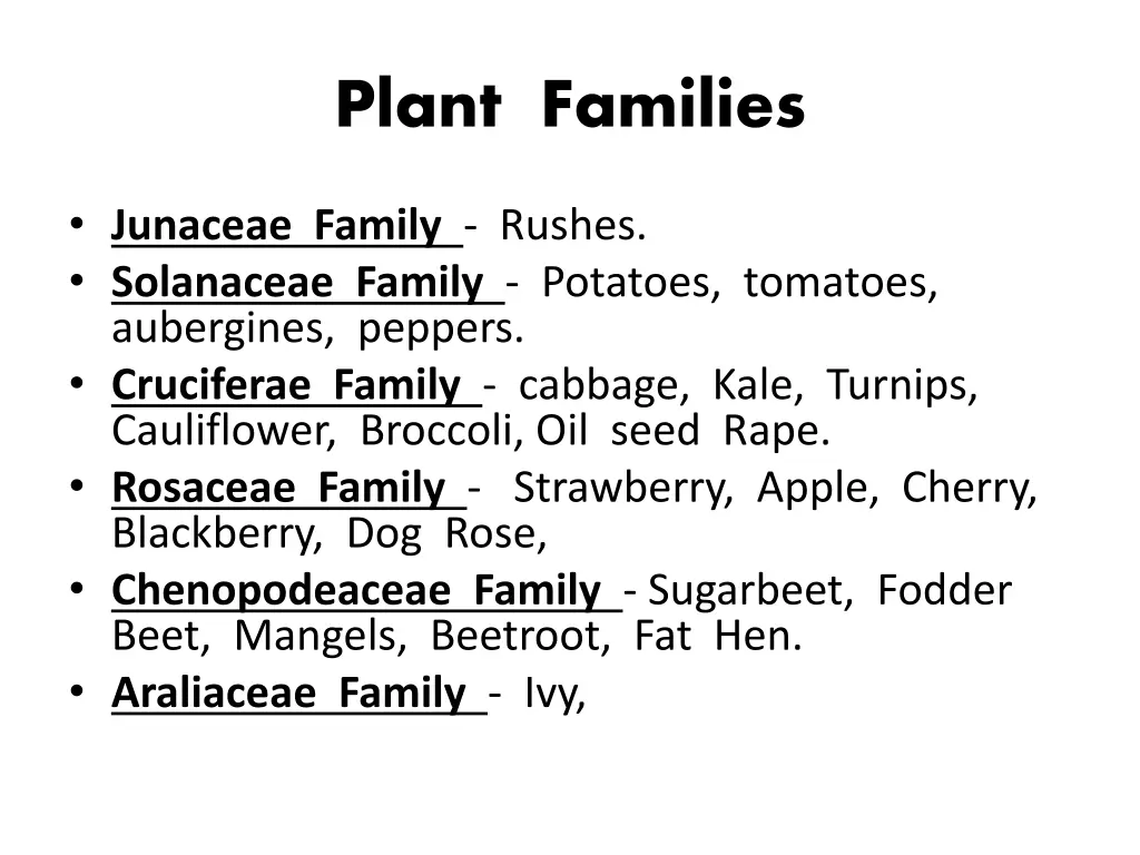 plant families 1