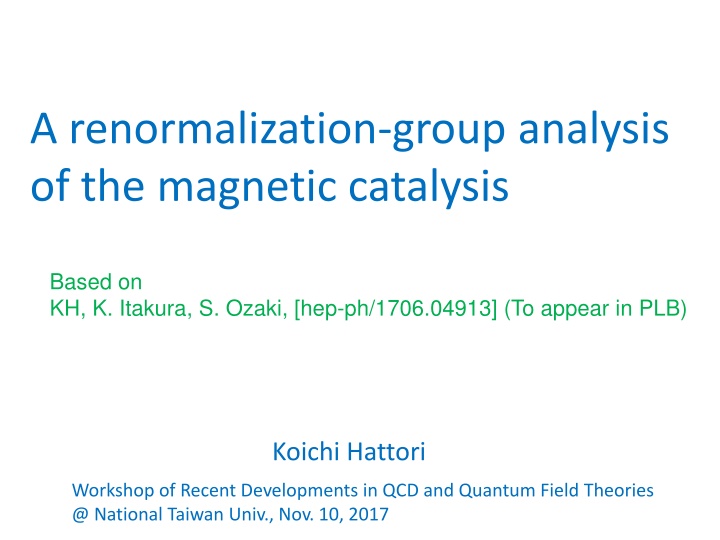 a renormalization group analysis of the magnetic