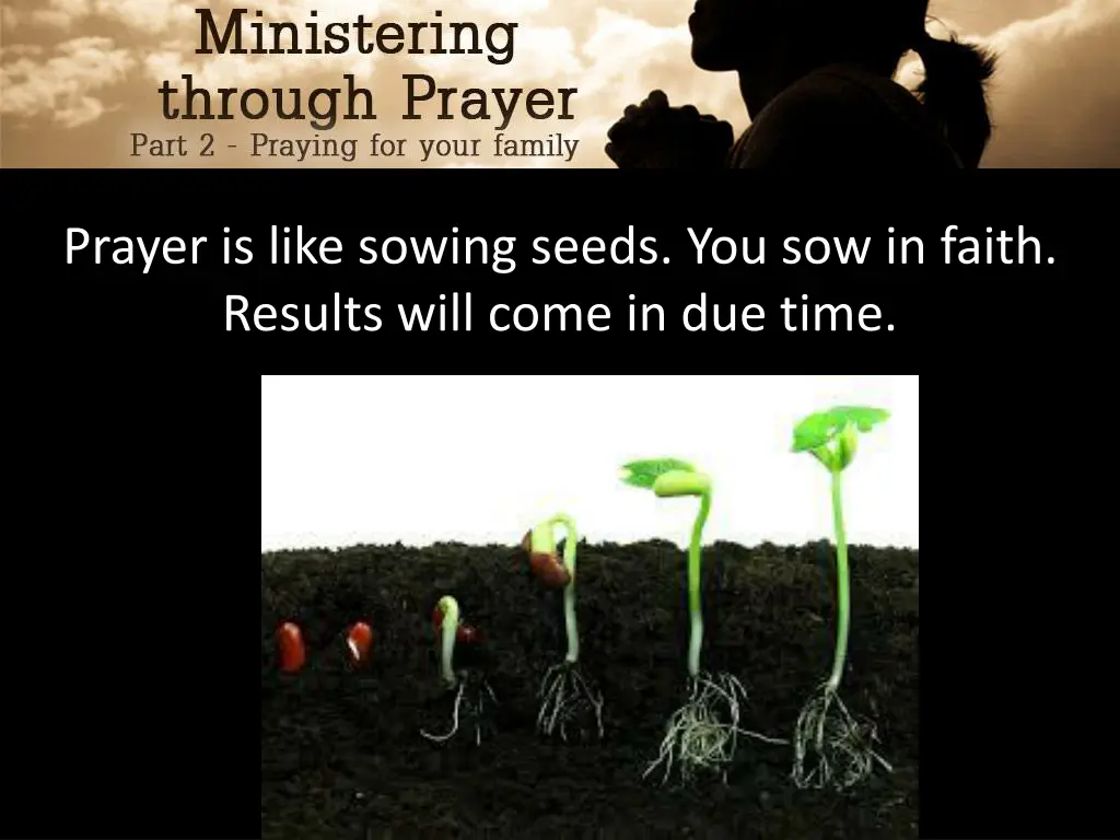 prayer is like sowing seeds you sow in faith