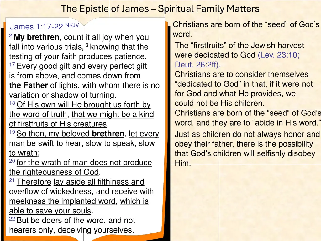 the epistle of james spiritual family matters 14