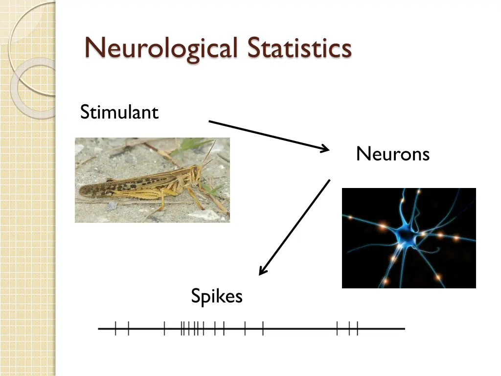 neurological statistics