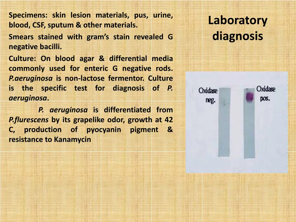 specimens skin lesion materials pus urine blood