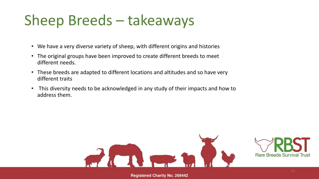 sheep breeds takeaways