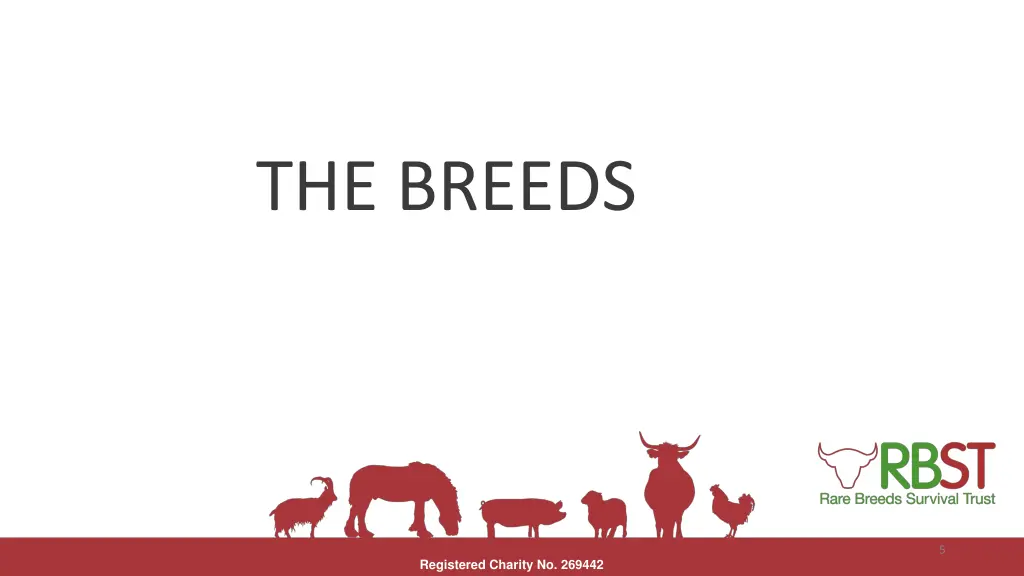 the breeds