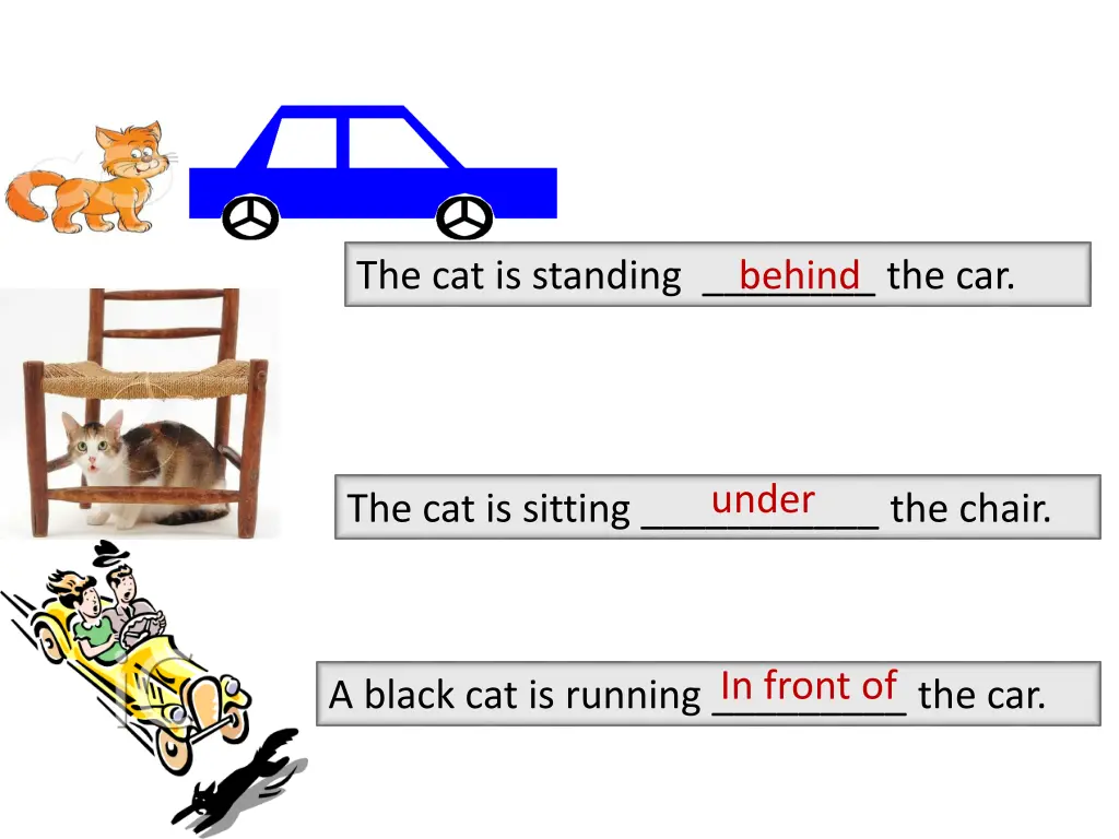 the cat is standing the car