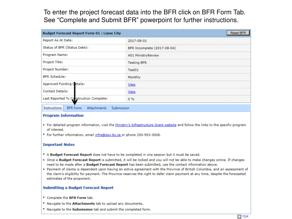 to enter the project forecast data into