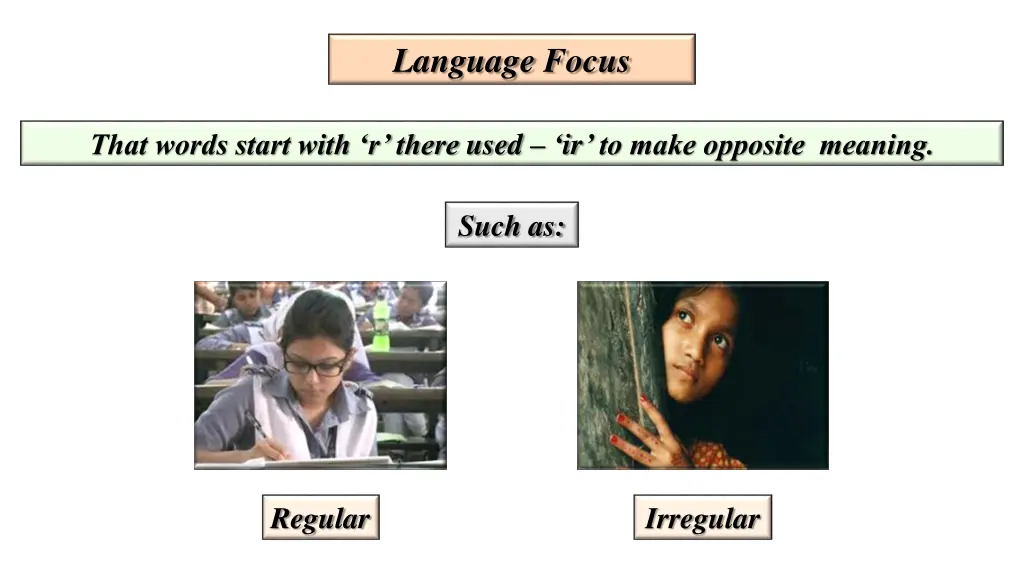 language focus 1