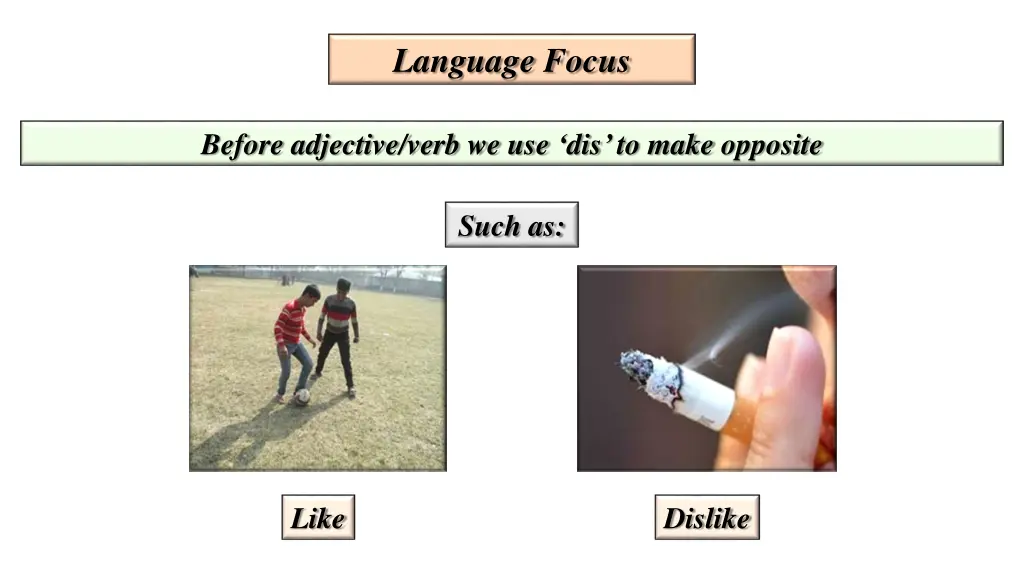 language focus 3