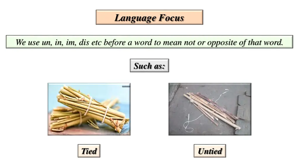 language focus