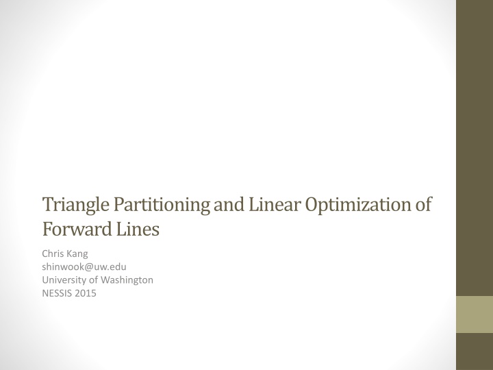 triangle partitioning and linear optimization