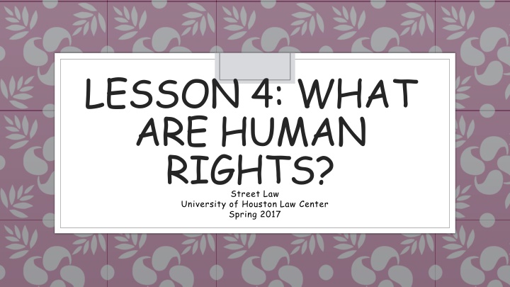 lesson 4 what are human rights street