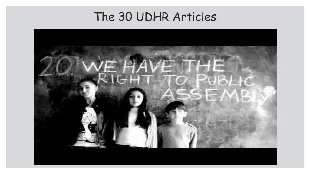 the 30 udhr articles