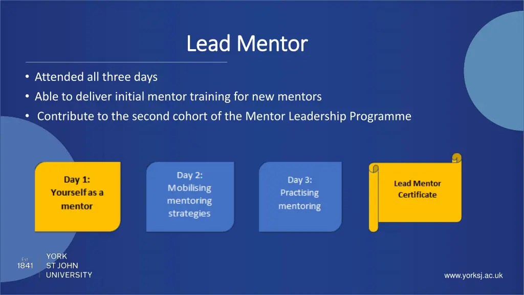 lead mentor lead mentor