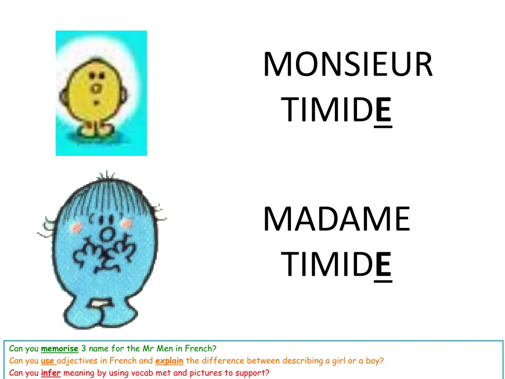 monsieur timid e