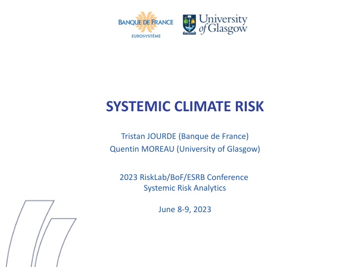 systemic climate risk