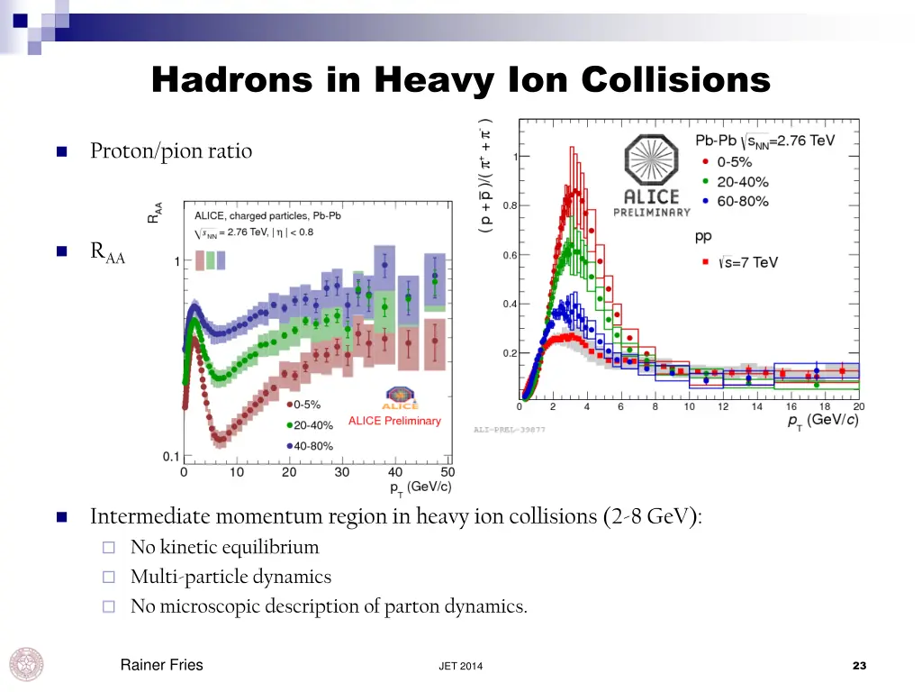 hadrons in heavy ion collisions