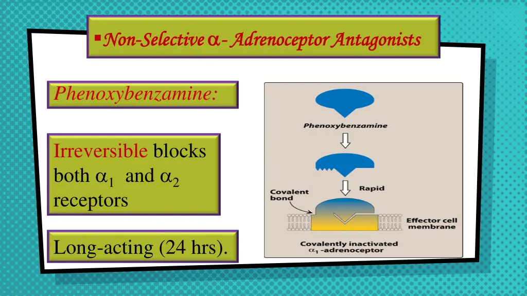 non non selective selective adrenoceptor