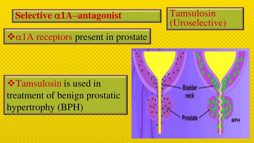 tamsulosin uroselective