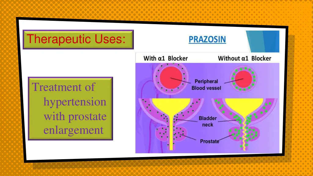 therapeutic uses 1