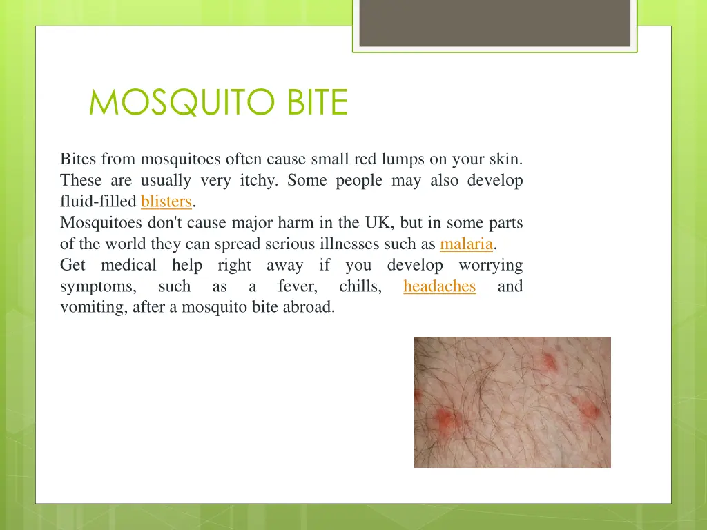 mosquito bite