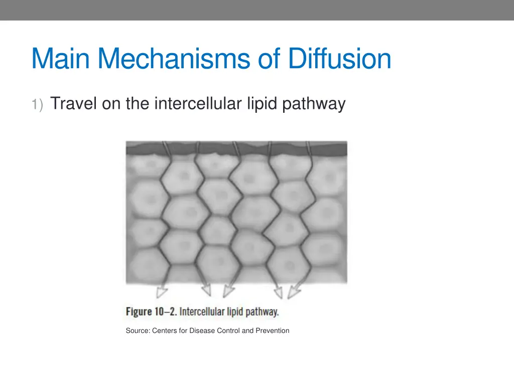 main mechanisms of diffusion