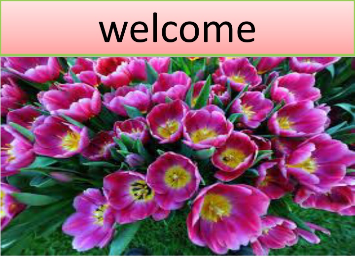 welcome