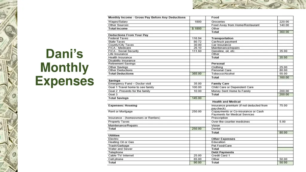 dani s monthly expenses