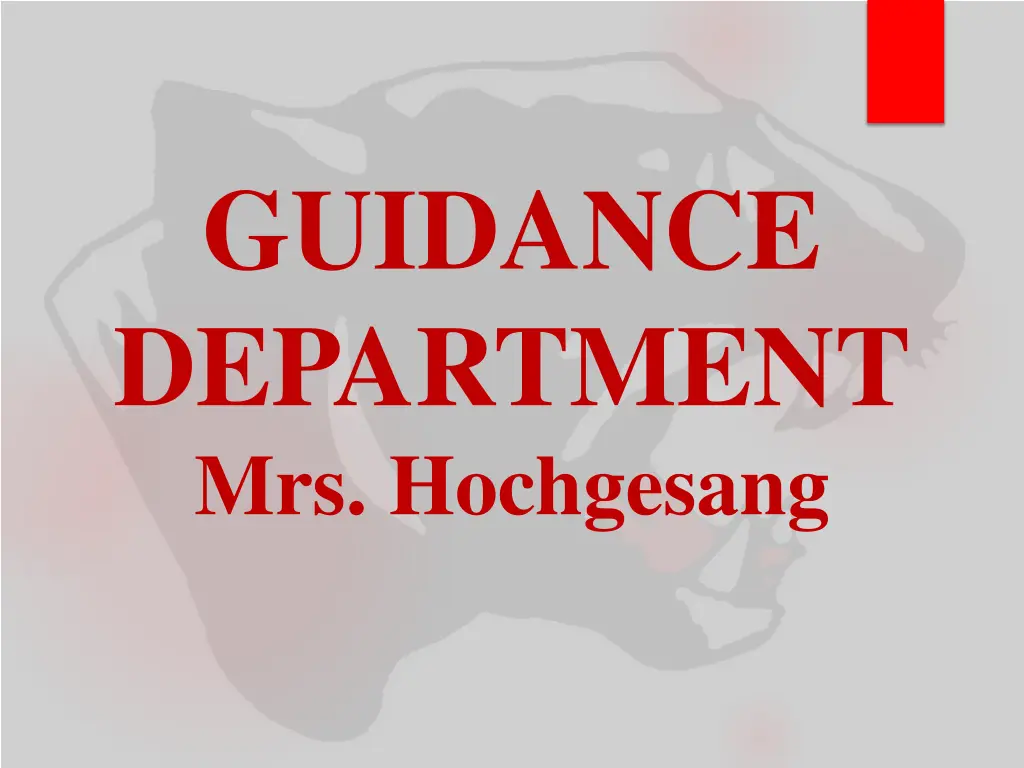 guidance department mrs hochgesang