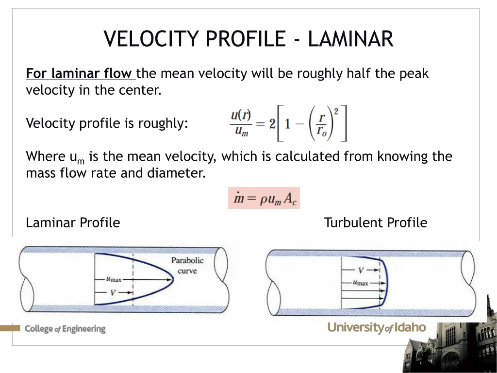 velocity profile laminar