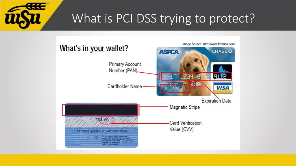 what is pci dss trying to protect