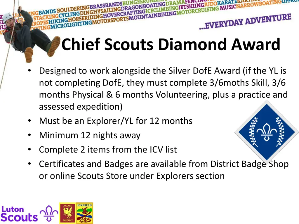 chief scouts diamond award