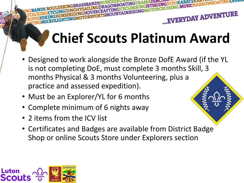 chief scouts platinum award