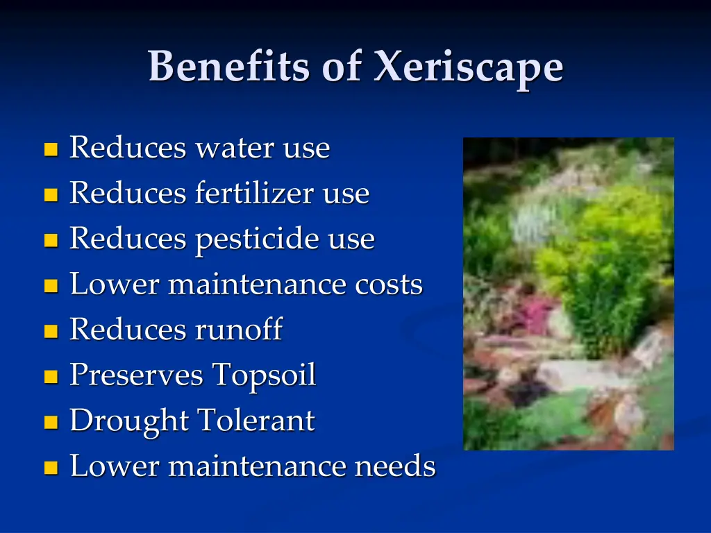 benefits of xeriscape