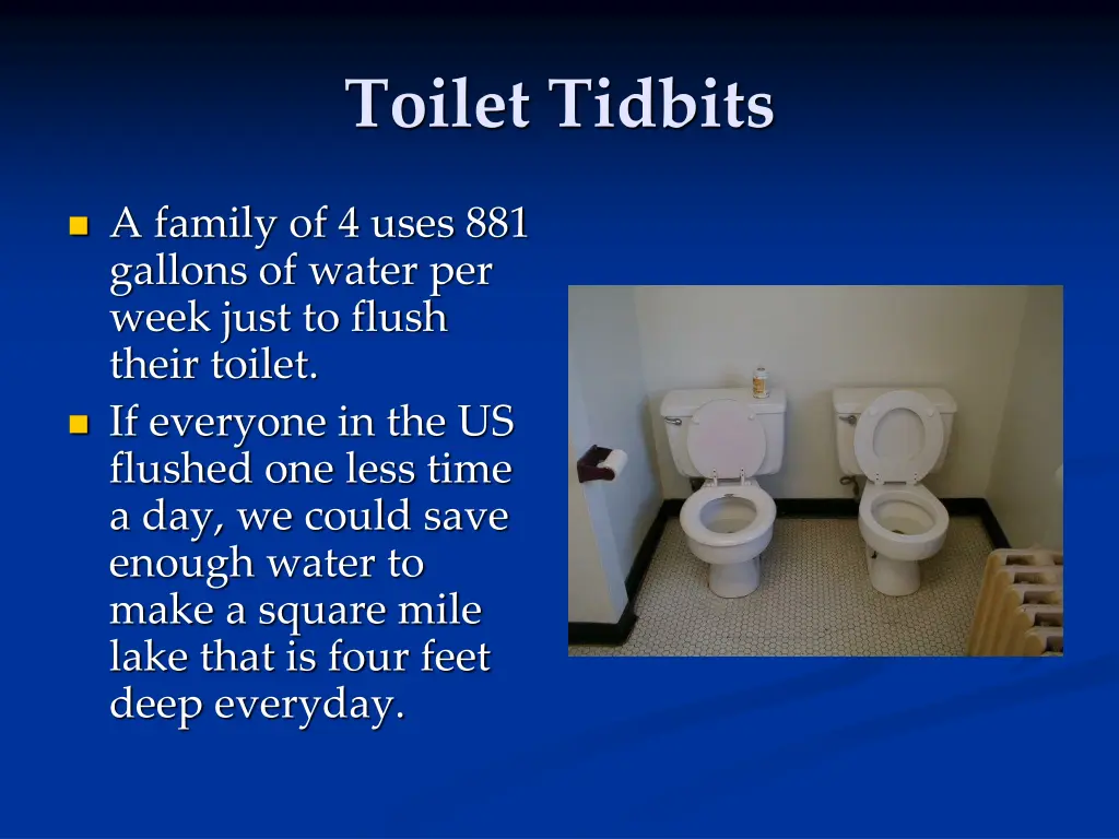 toilet tidbits