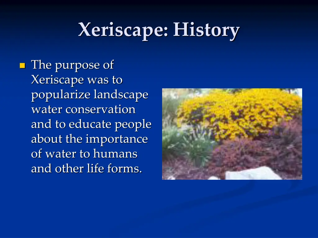 xeriscape history