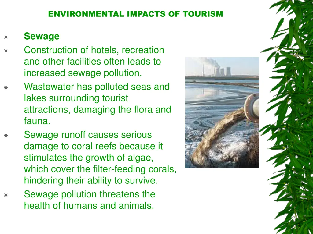 environmental impacts of tourism 15