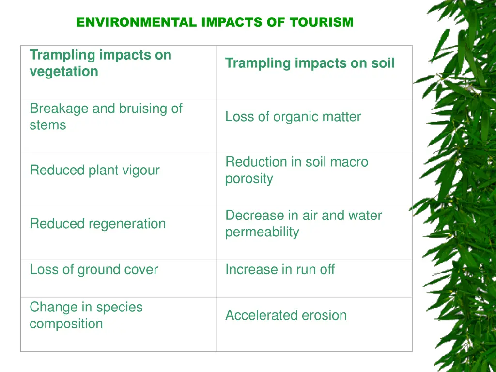 environmental impacts of tourism 19